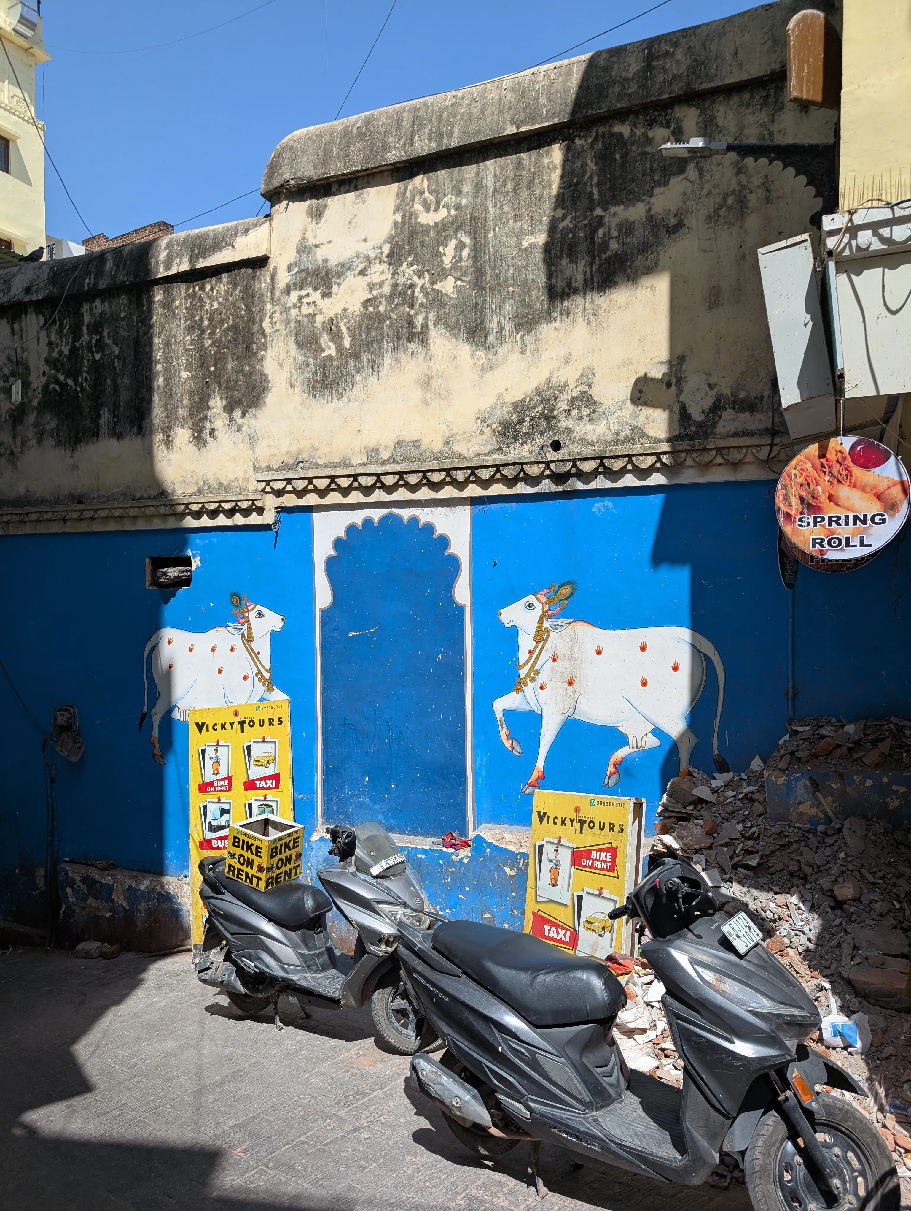 A blue painted wall in Udaipur.