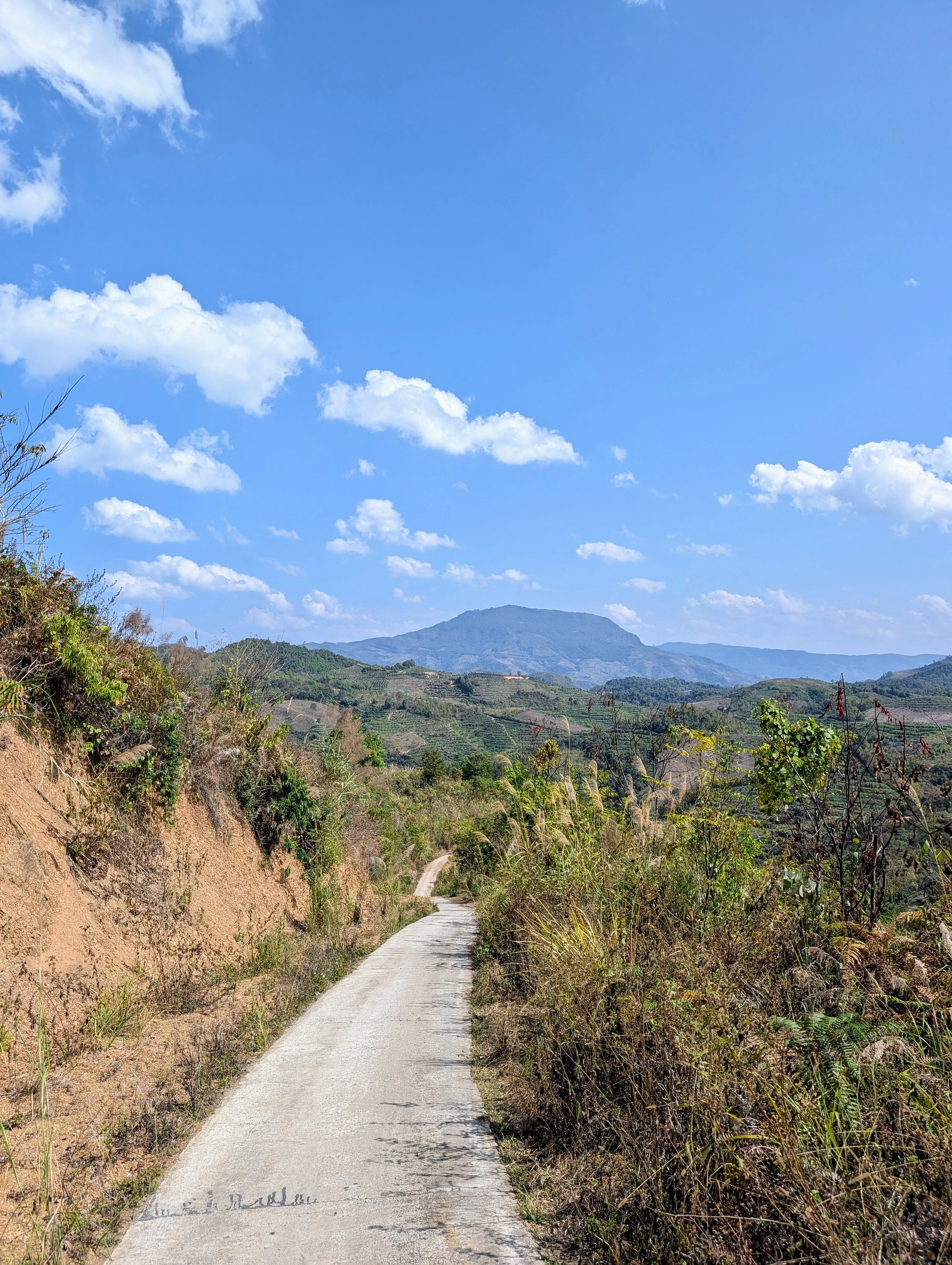 DBF hills