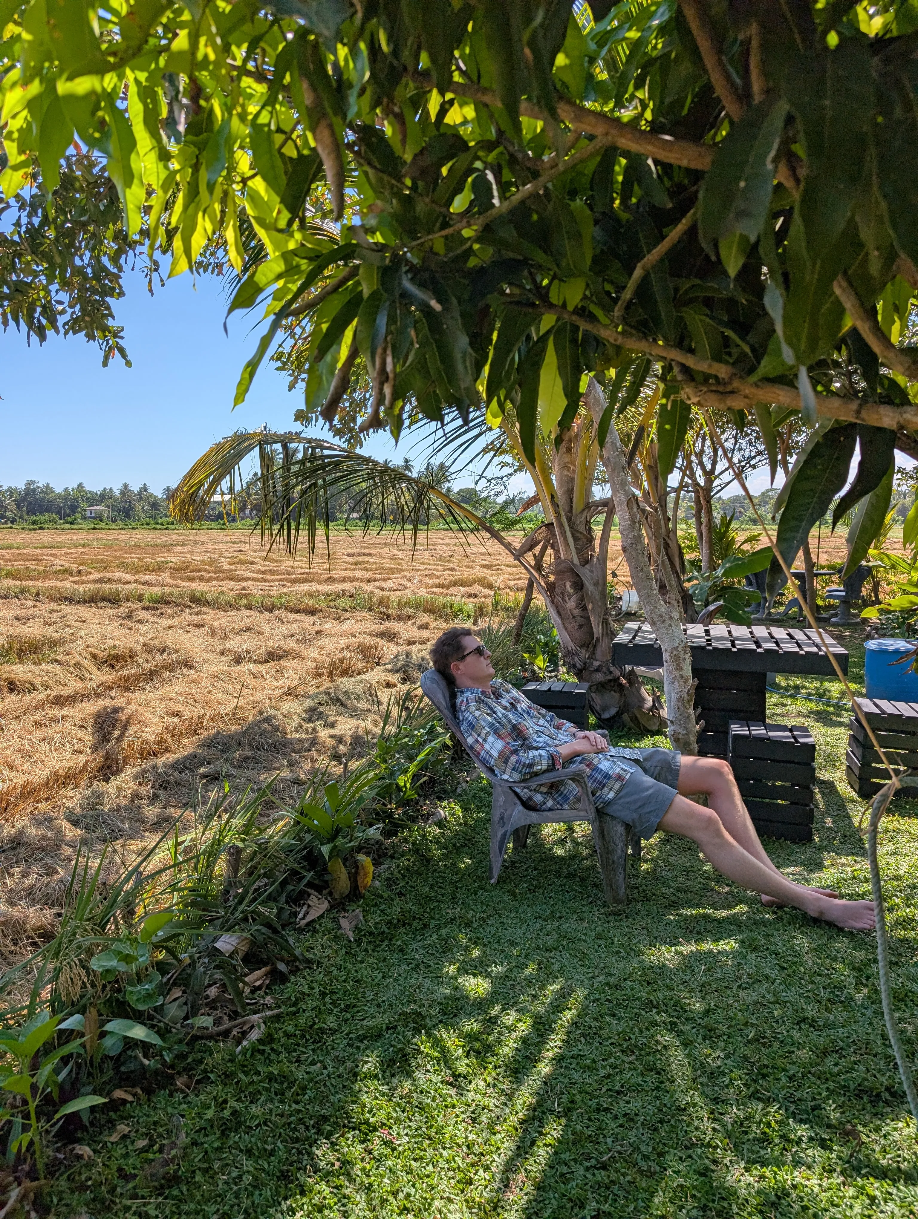 Paul in garden