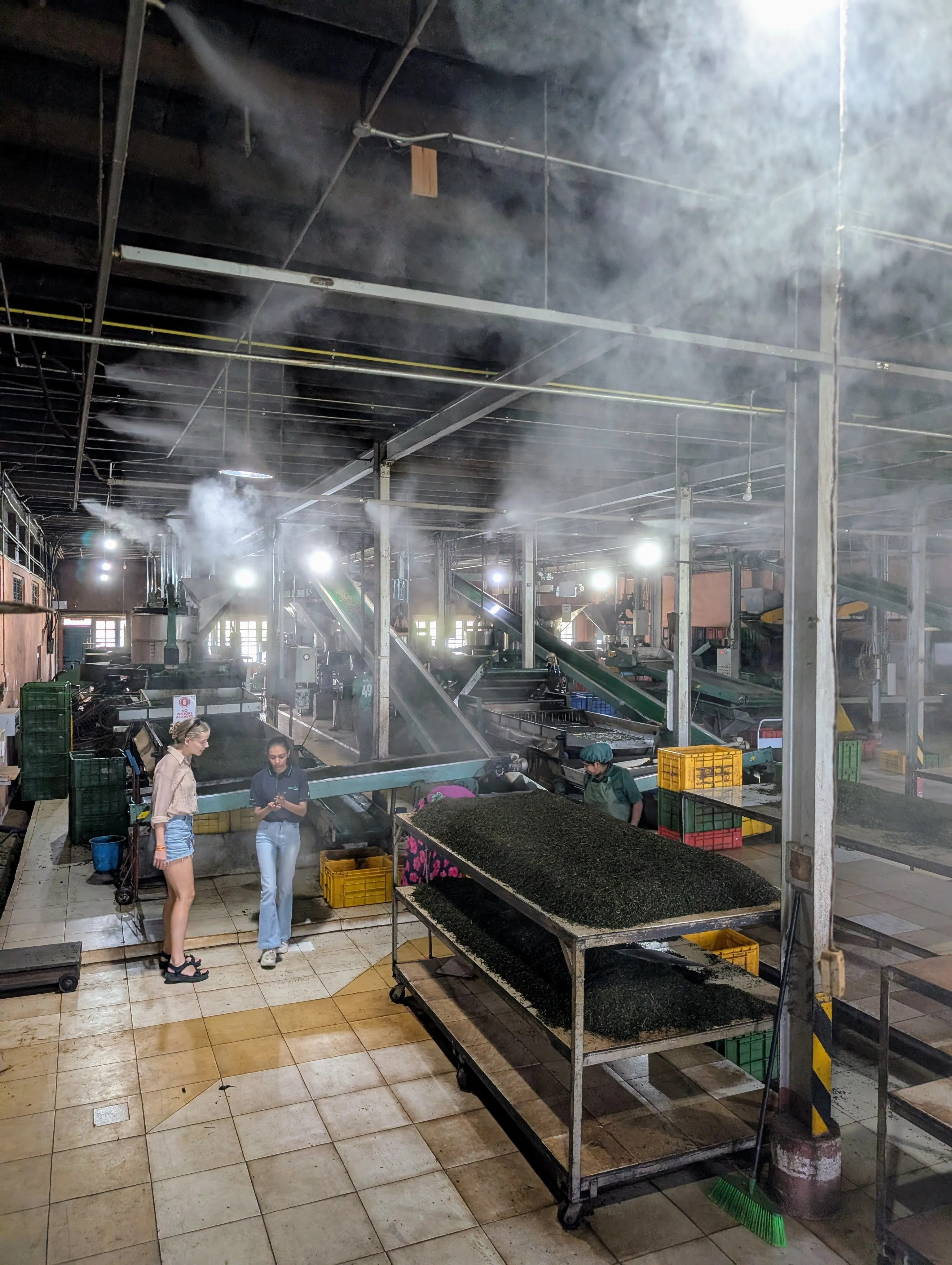 Tea factory